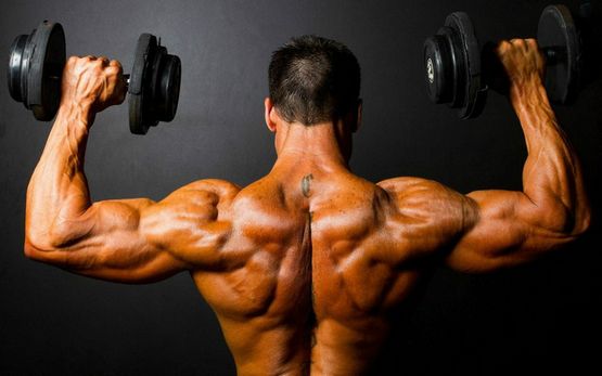 Quels sont les cycles de stéroïdes les plus populaires chez les bodybuilders ?